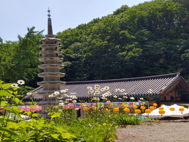 대한불교조계종 장경사